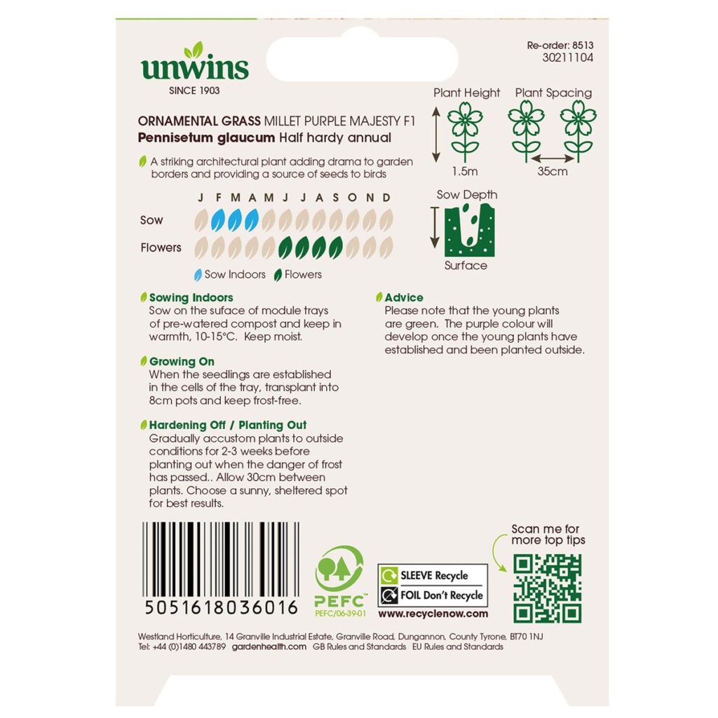 Unwins Millet Purple Majesty F1 Seeds 5051618036016 2